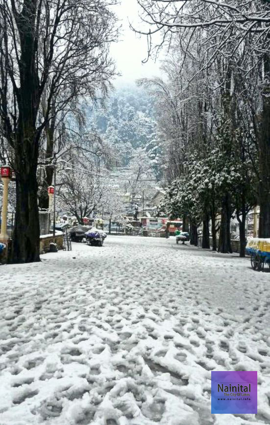 Nainital_Tourist_Hub