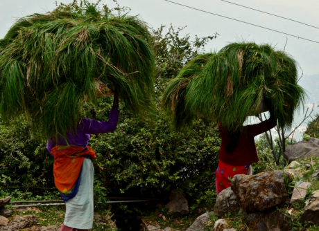 Camels Back Nainital