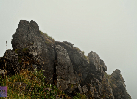 Nainital_Camels_Back