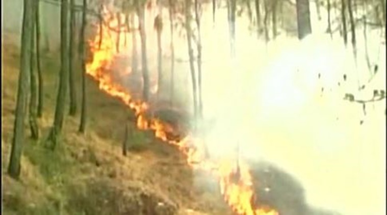 Uttarakhand forest fire - 2016