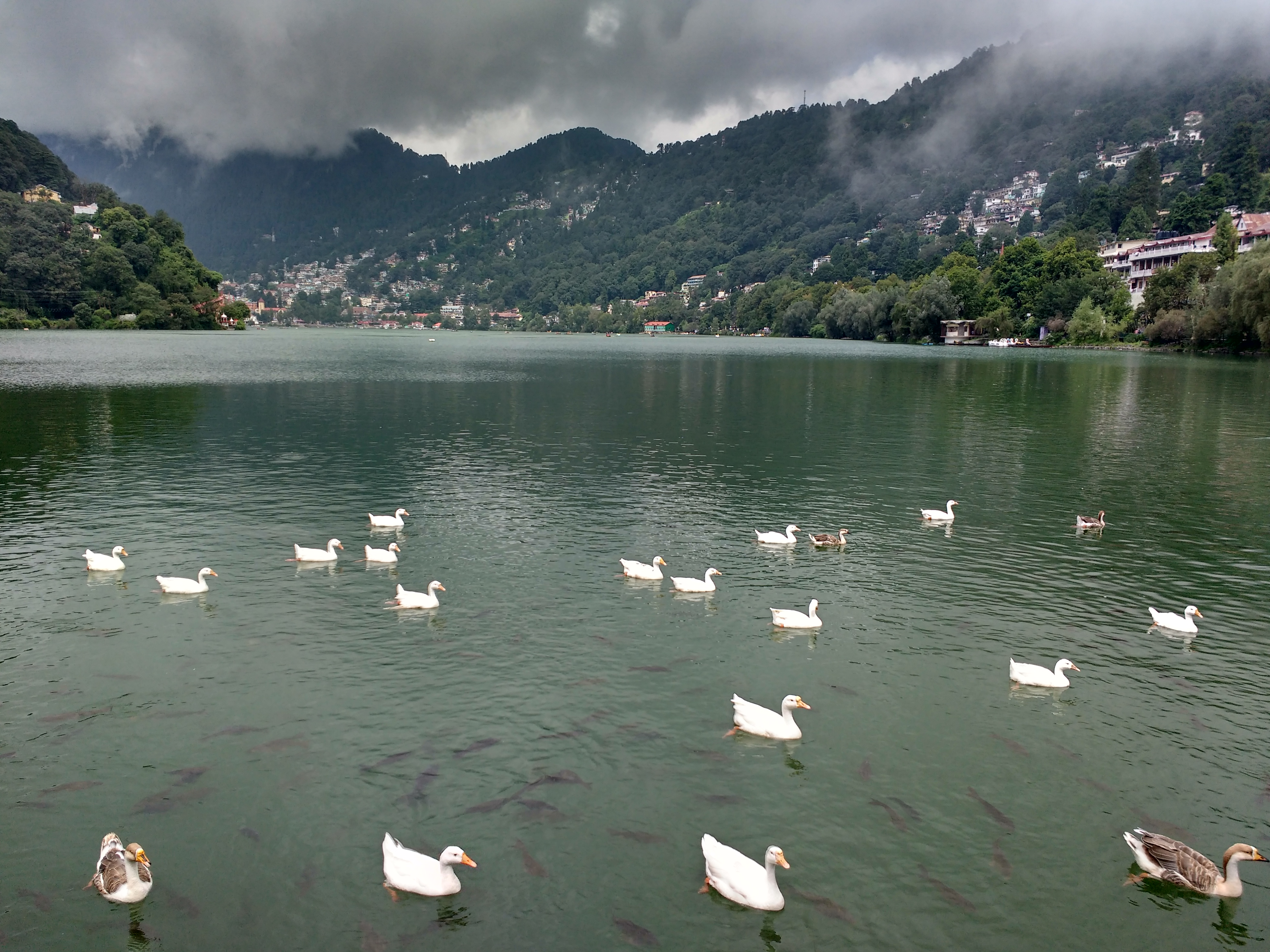 Awesome Weather Naini Lake Nainital
