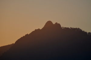 Camels Back in Evening Nainital