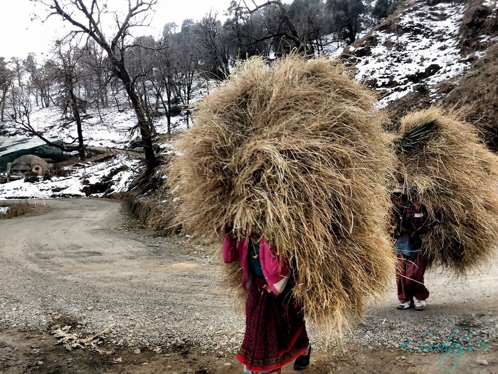 Womens Of Uttarakhand