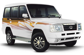 Sumo / Similar (8 Seater)