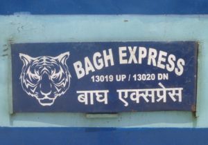 Bagh Express