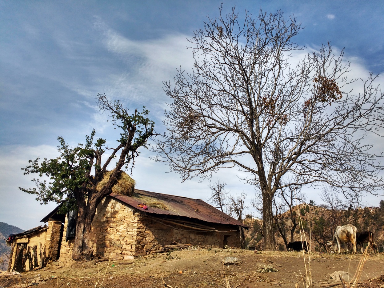 Mukteshwar-Nainital-Uttarakhand